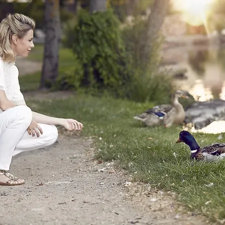 Restaurant Domaine Du Moulin 4* Ensisheim