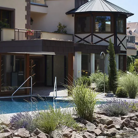 Hotell Restaurant Domaine Du Moulin Ensisheim