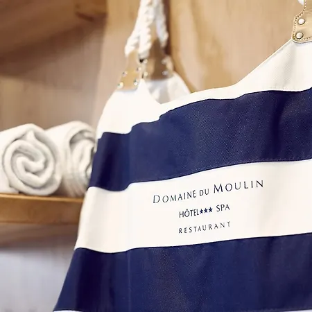 ホテル Restaurant Domaine Du Moulin 4*