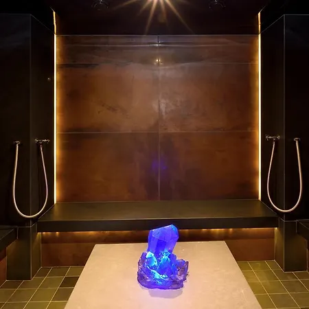 Restaurant Domaine Du Moulin Hotel Ensisheim