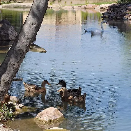 Restaurant Domaine Du Moulin 4*