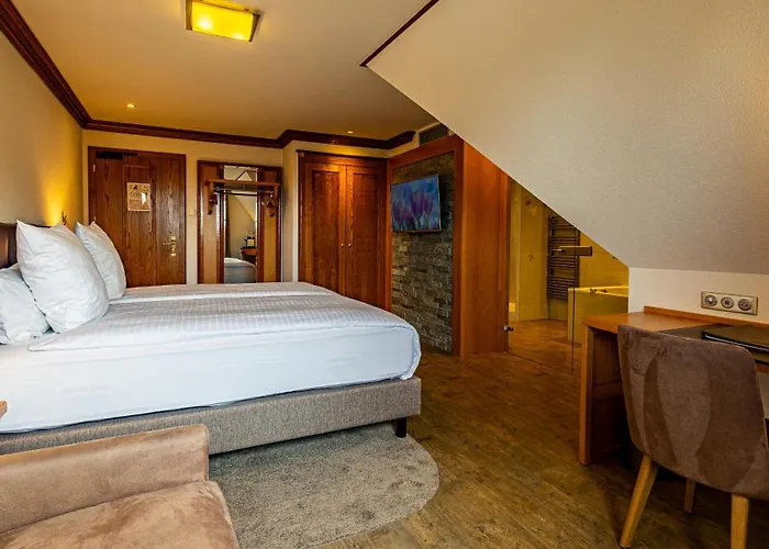 Restaurant Domaine Du Moulin Hotel 4*