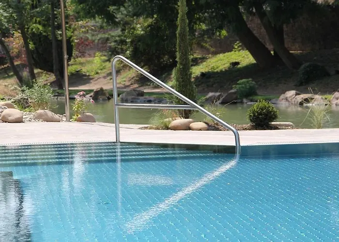 Hotel Restaurant Domaine Du Moulin Ensisheim