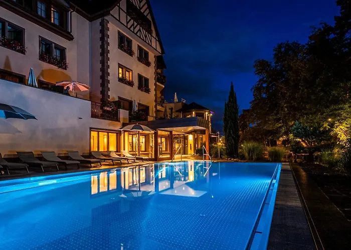 Restaurant Domaine Du Moulin Hotel