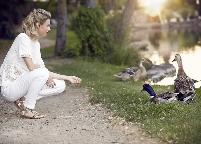 Restaurant Domaine Du Moulin 4* Ensisheim