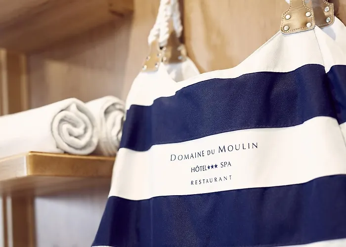 Hotel Restaurant Domaine Du Moulin 4*
