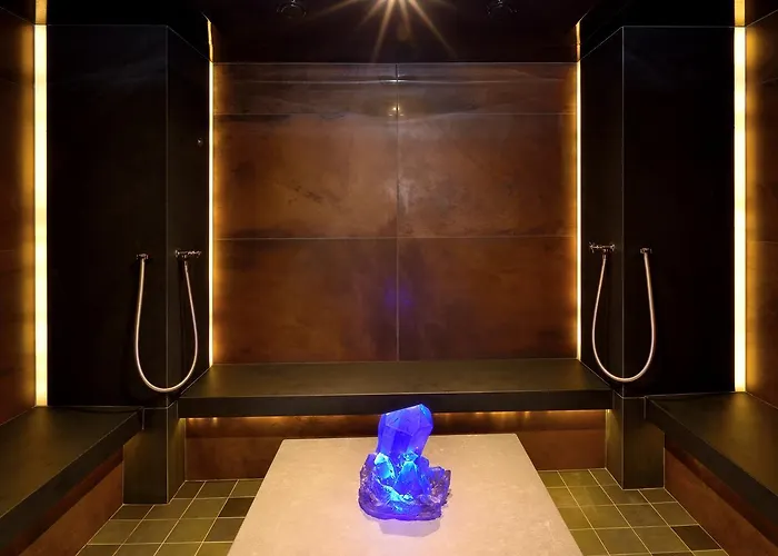 Restaurant Domaine Du Moulin Hotel Ensisheim