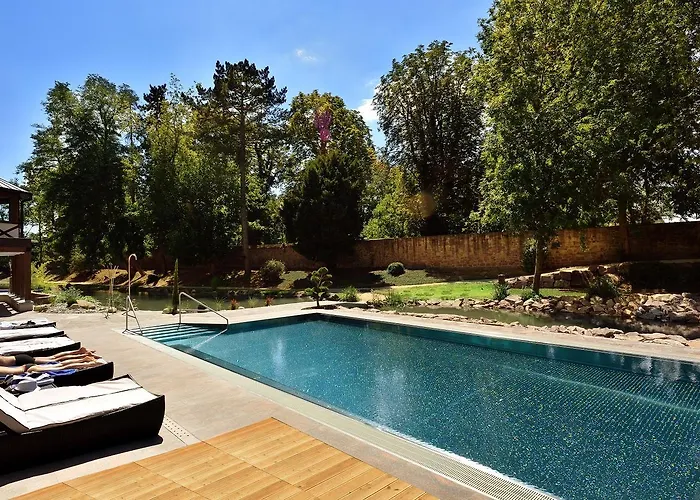 Hotel Restaurant Domaine Du Moulin 4*