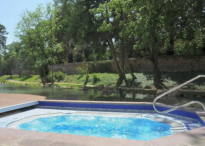 Restaurant Domaine Du Moulin 4*