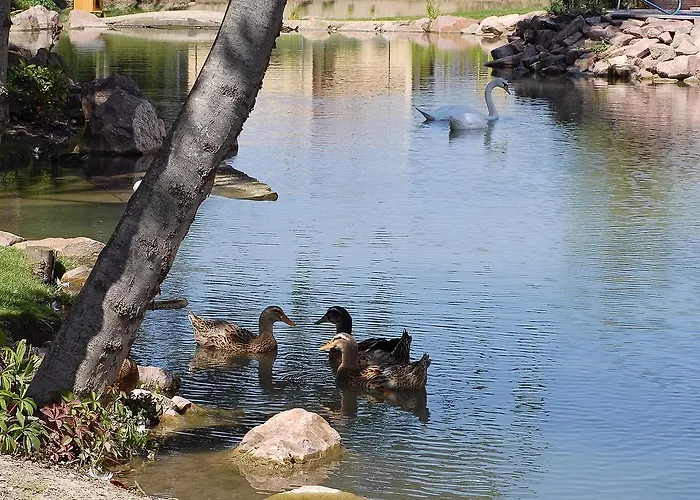 Restaurant Domaine Du Moulin 4*