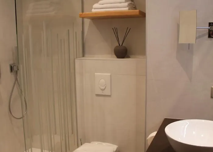 Restaurant Domaine Du Moulin Ensisheim